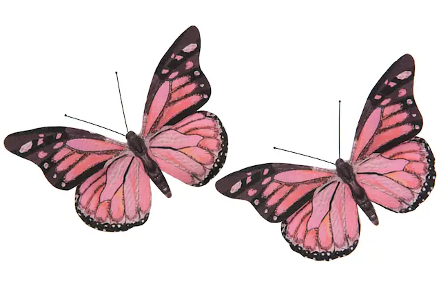 Clip Butterfly Pink