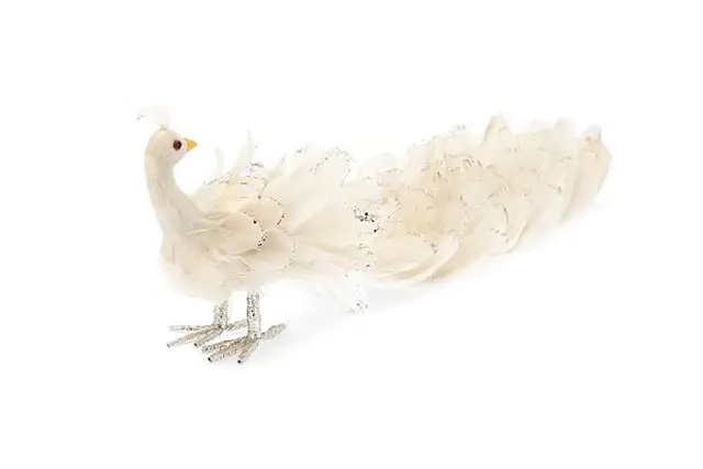 Dekoration Påfågel Glitterfjädrar