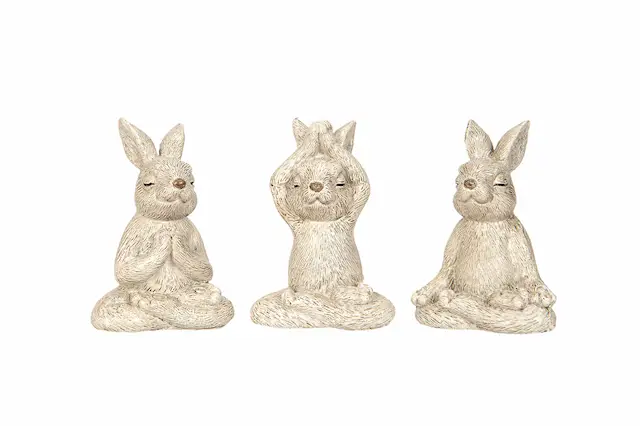 Dekoration Kanin Yoga Mix