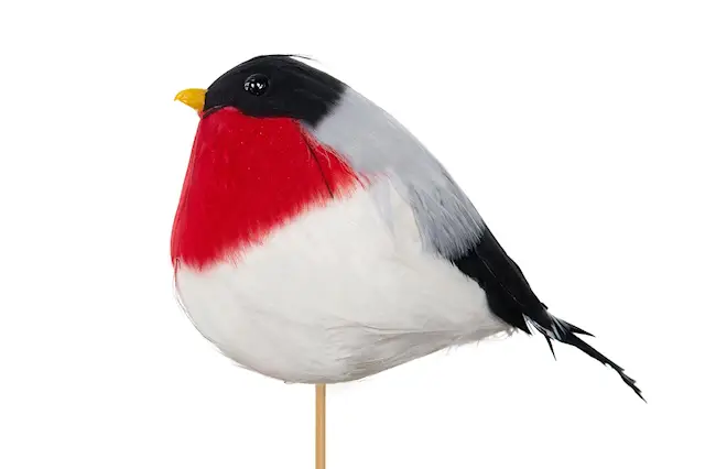 Tikku punatulkku