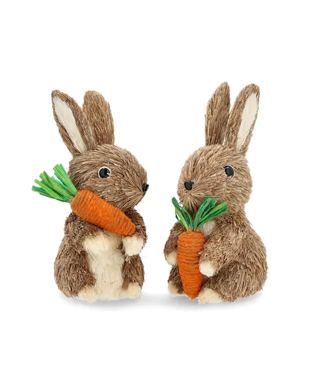 Dekoration Kaniner Morot Mix