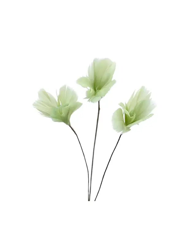 Fjäder Trådad Blom Lime