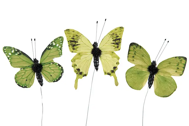 Stick Butterfly Green Mix