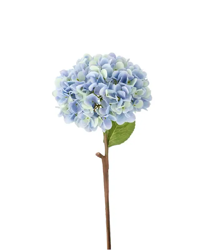 Konstväxt Hortensia Blå