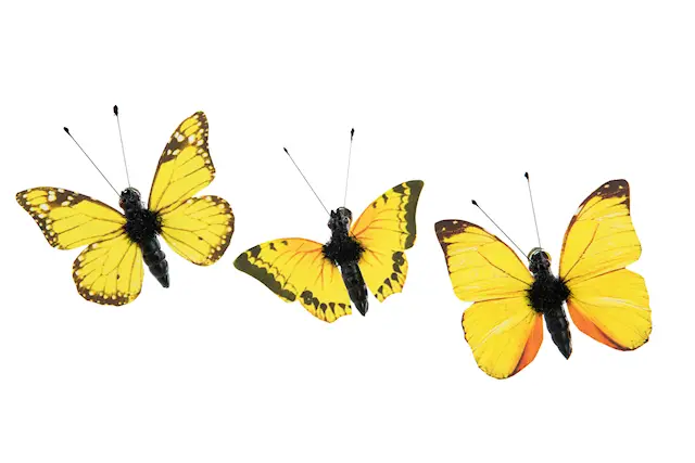 Clip Butterfly Yellow Mix