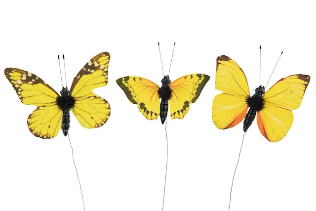 Stick Butterfly Yellow Mix