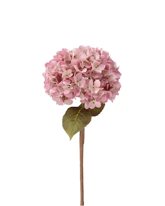 Konstväxt Hortensia  Rosa