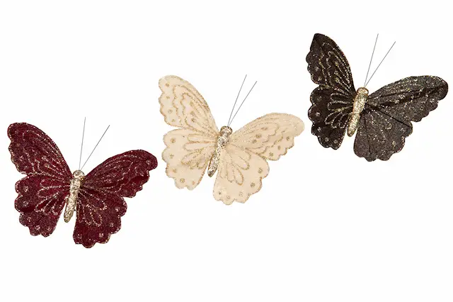 Nipistin perhonen Velvet lajitelma