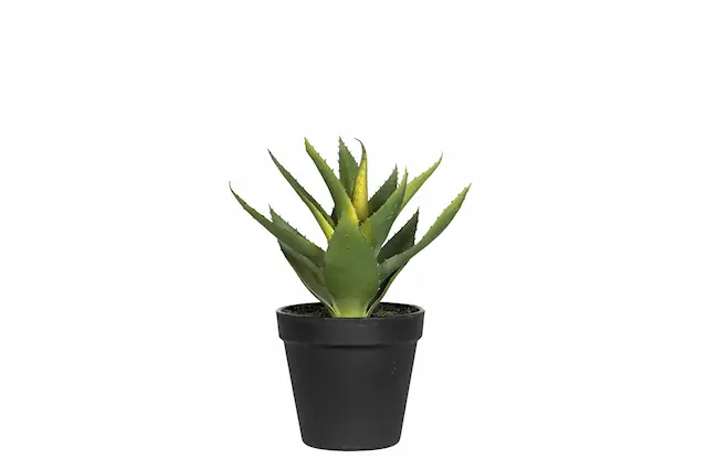 Artificial Plant Aloe Vera