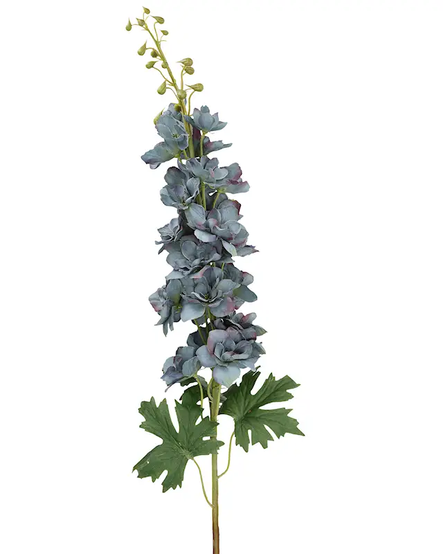 Tekokasvi Ritarinkannus