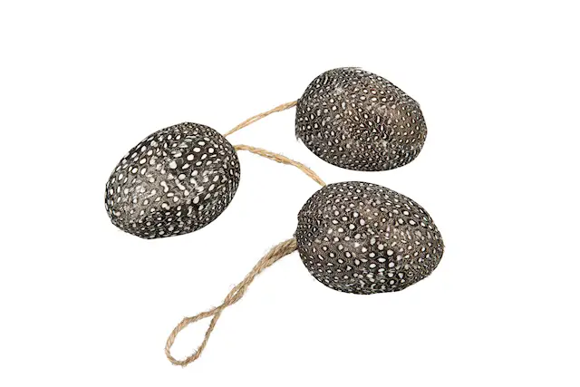 Riipus muna pilkullinen höyhen