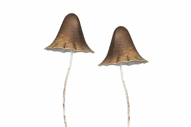 Garden Stick Mushroom Metal Brown