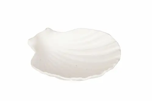 Bowl Shell Poly