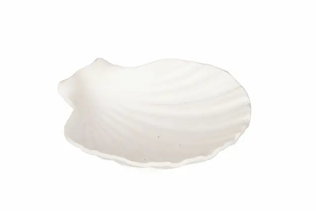 Bowl Shell Poly