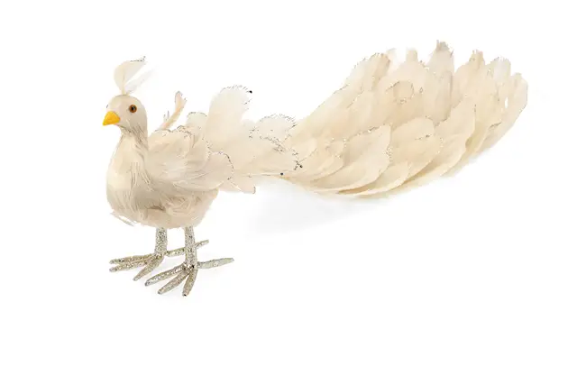 Dekoration Påfågel Glitterfjädrar