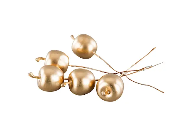 Omena kulta rautalanka