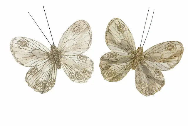 Nipistin perhonen Lacy lajitelma