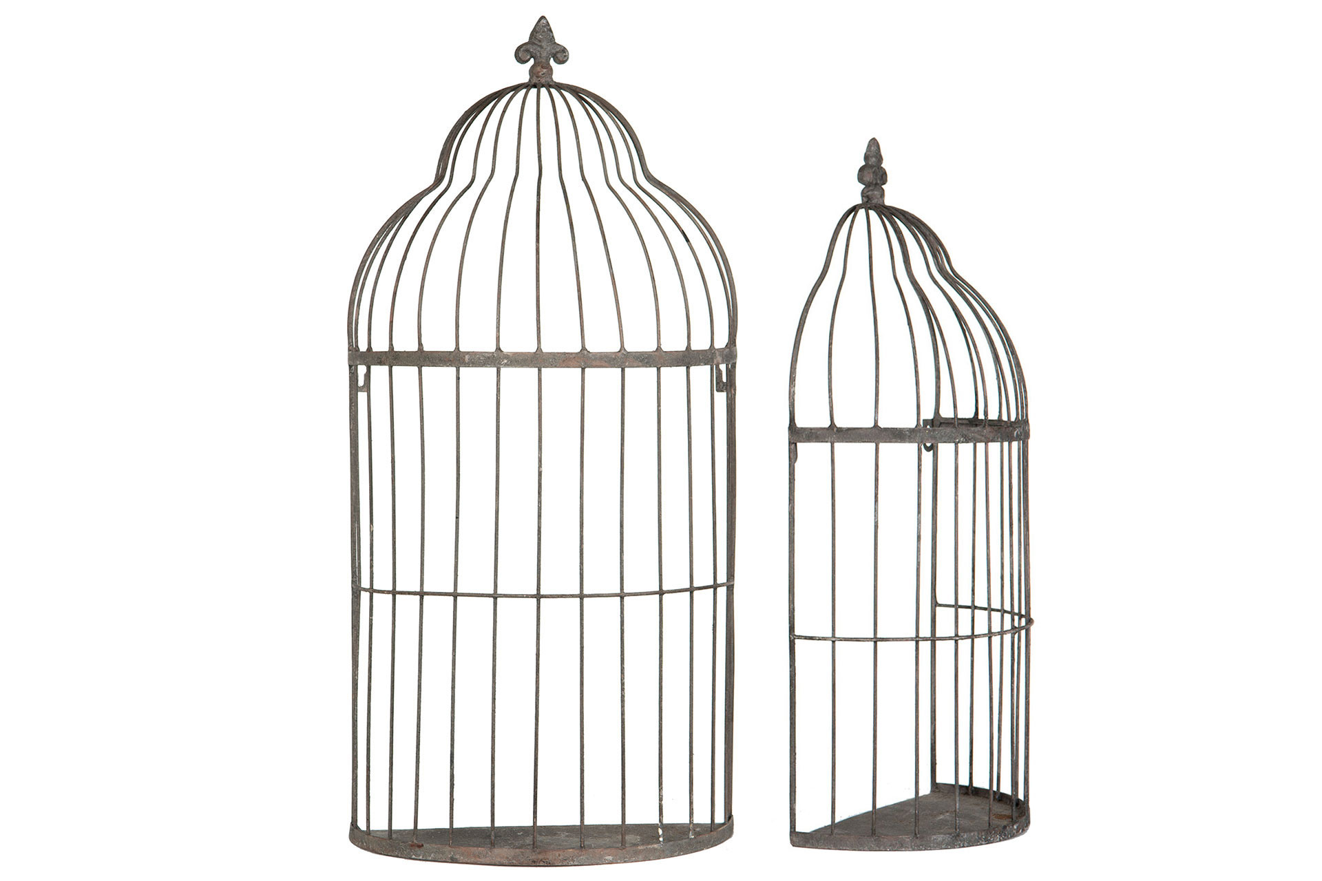 Plant Support Bird Cage Wall Mounted