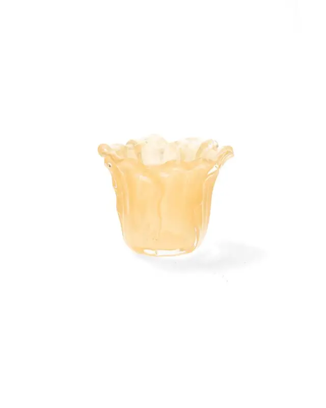 Ljuslykta Blomma Aprikos