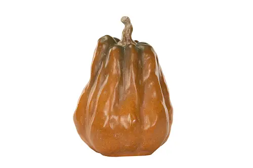Kurpitsan oranssi. Luonnollinen pitkulainen poly