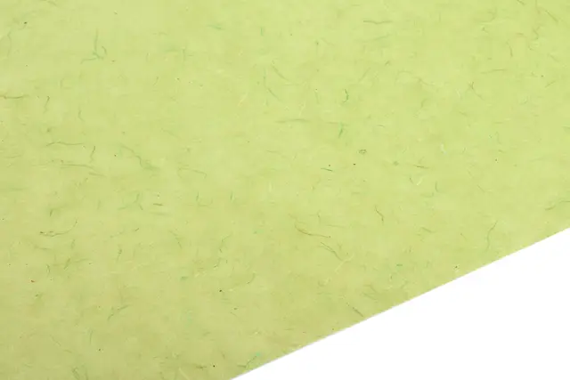 Waxed Tissue Paper Mint