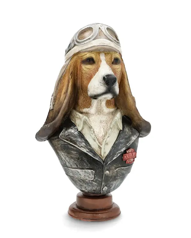 Rintakuva basset hound