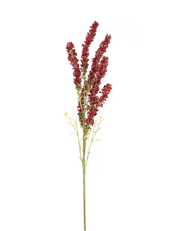 Konstväxt Finnskräppa Mörkrosa