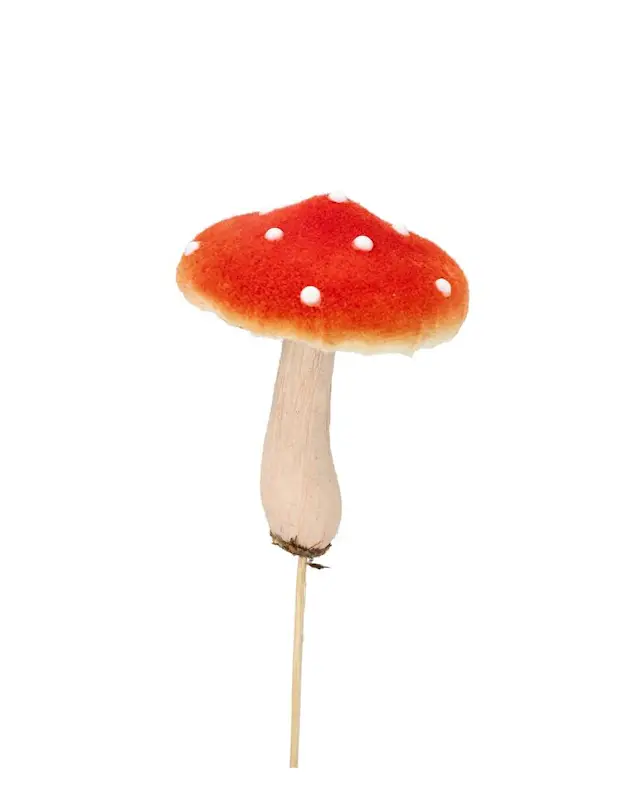 Stick Flugsvamp