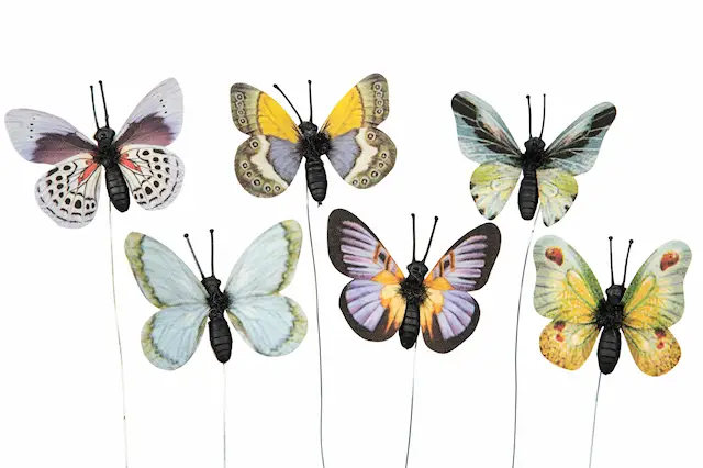Stick Butterfly Summer Mix