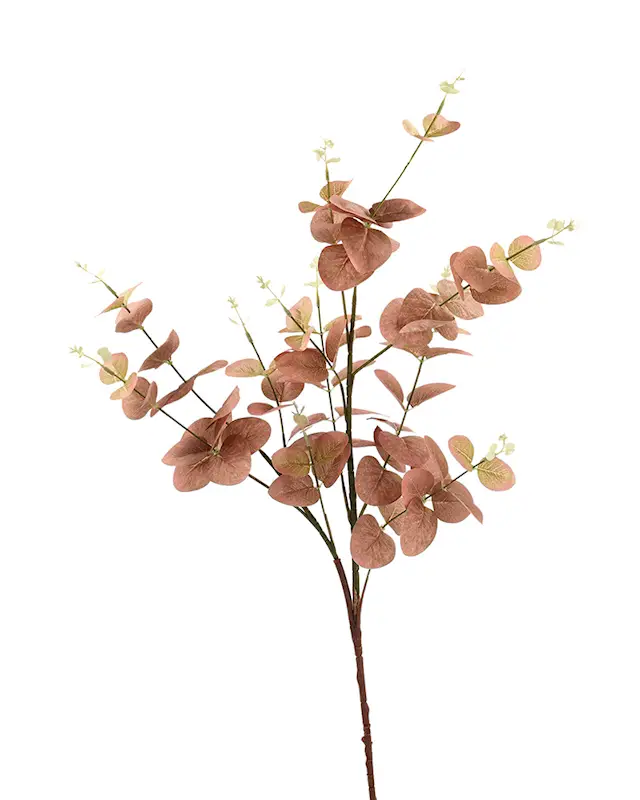 Konstväxt Eukalyptus