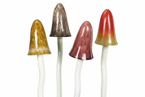Sienisekoitus Polysekoitus Poly