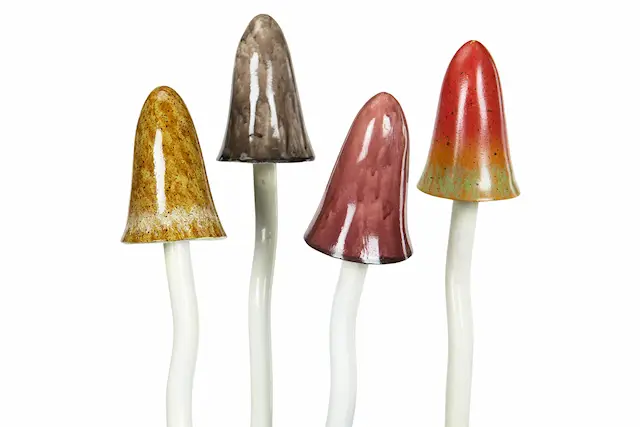 Mushroom Mix Poly