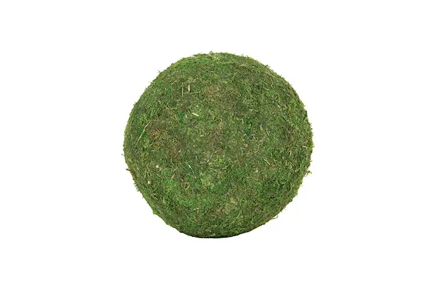 Mossboll