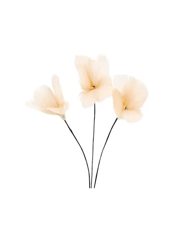 Fjäder Trådad Blom Aprikos