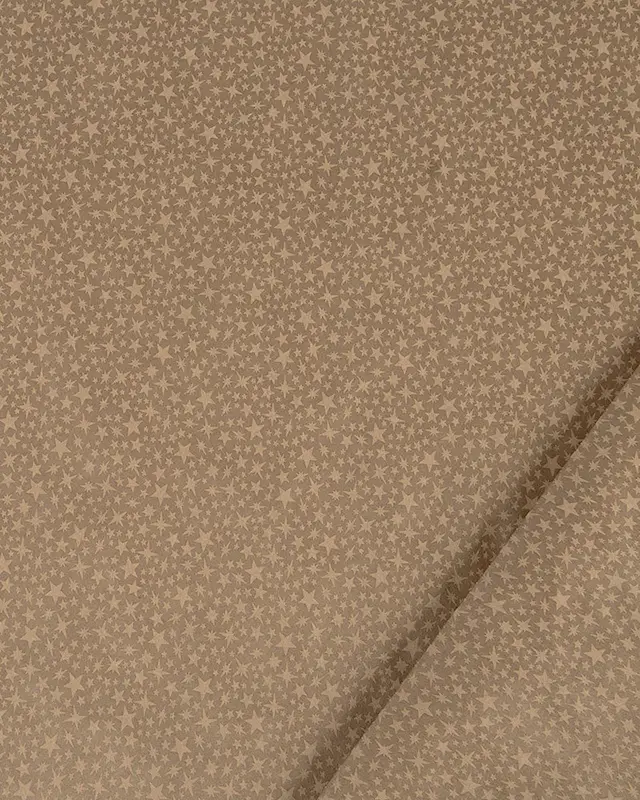 Presentpapper Dubbelsidigt Stars