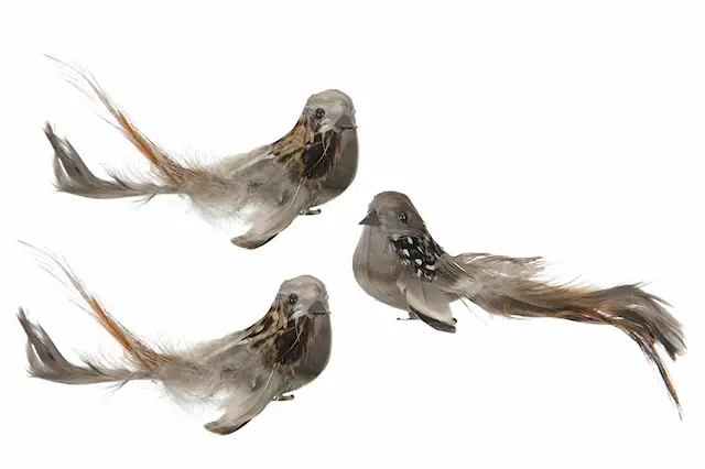 Clip Bird Fluffy Mix