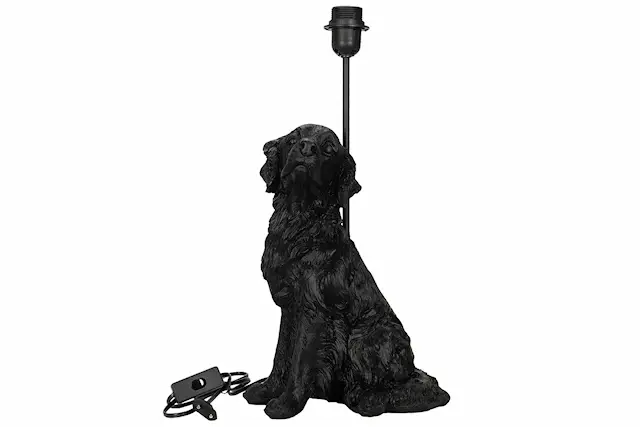 Lampfot Hund