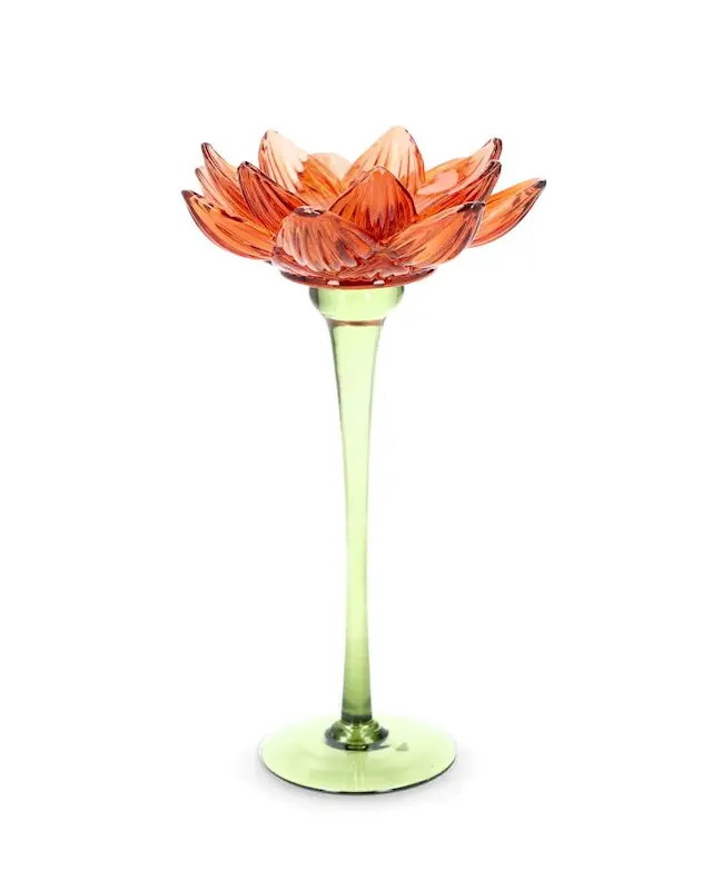 Kynttilänjalka vesililja