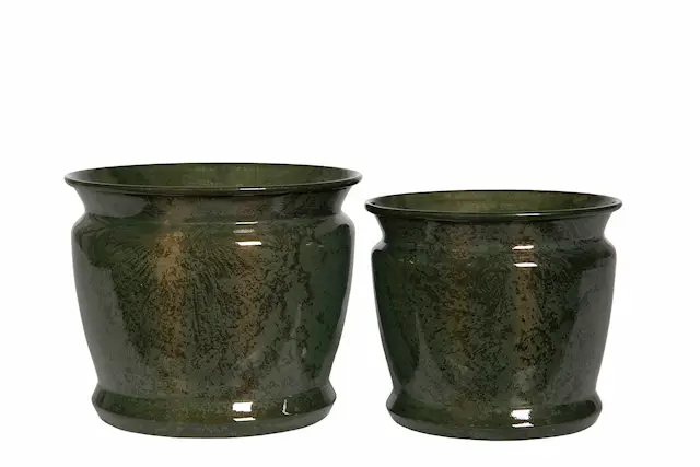 Pot Liv Kale
