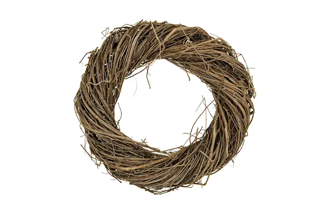 Krans Lärk Kottar Natur