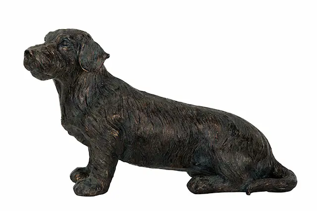 Koiran mäyräkoira Poly