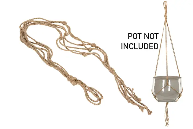 Jutesnöre för Ampel