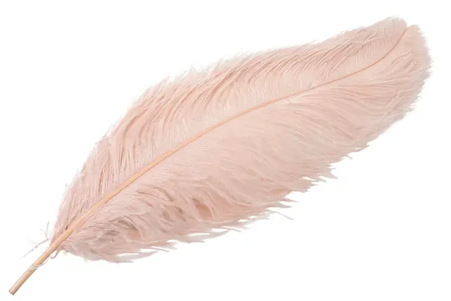Strutsfjäder Puderrosa