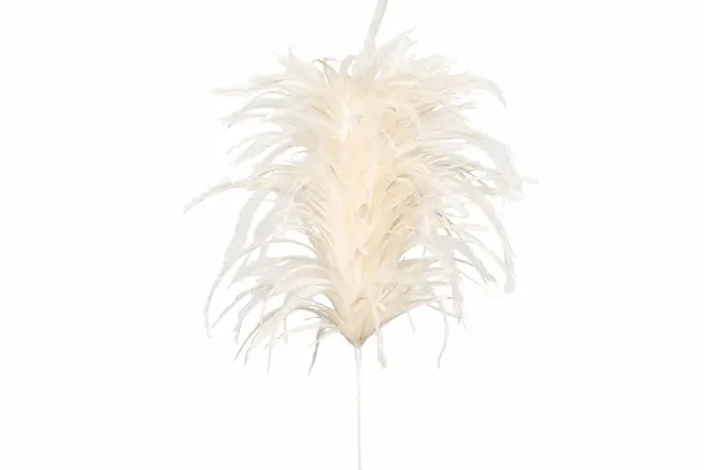 Fjädervippa Grande Creme