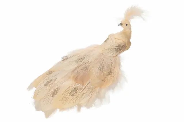 Clip Peacock Diva
