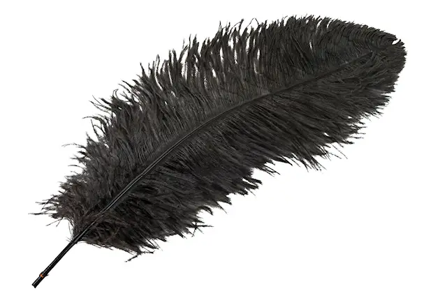 Strutsfjäder Mörkbrun