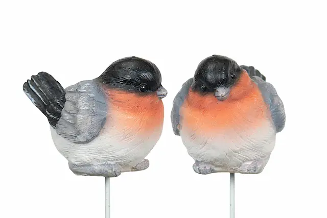 Tikku punatulkku