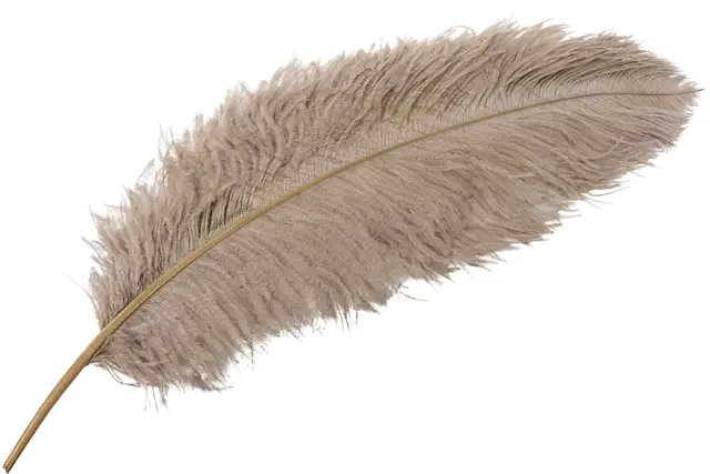 Strutsfjäder Mullvad