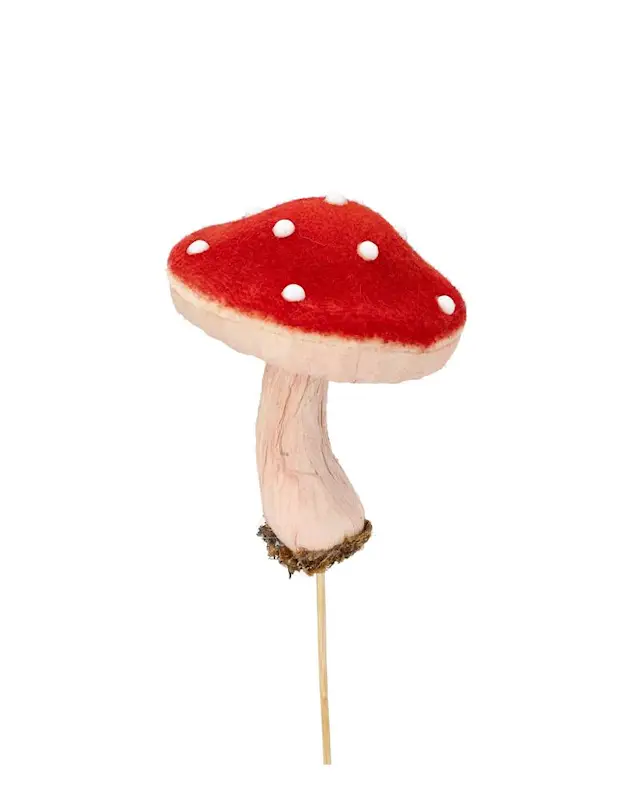 Stick Fly Agaric