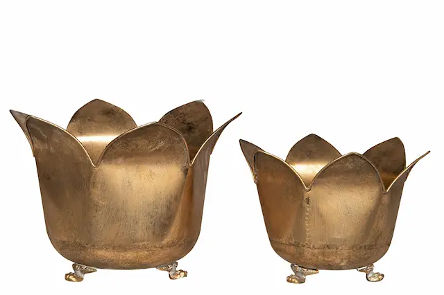 Pot Solo Gold Metal